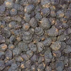 Tiger Nuts XXL Black