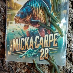 Aligner Green Par 10