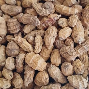 Tiger Nuts XXL
