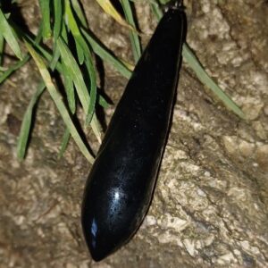 Zip Bombe Longue Distance