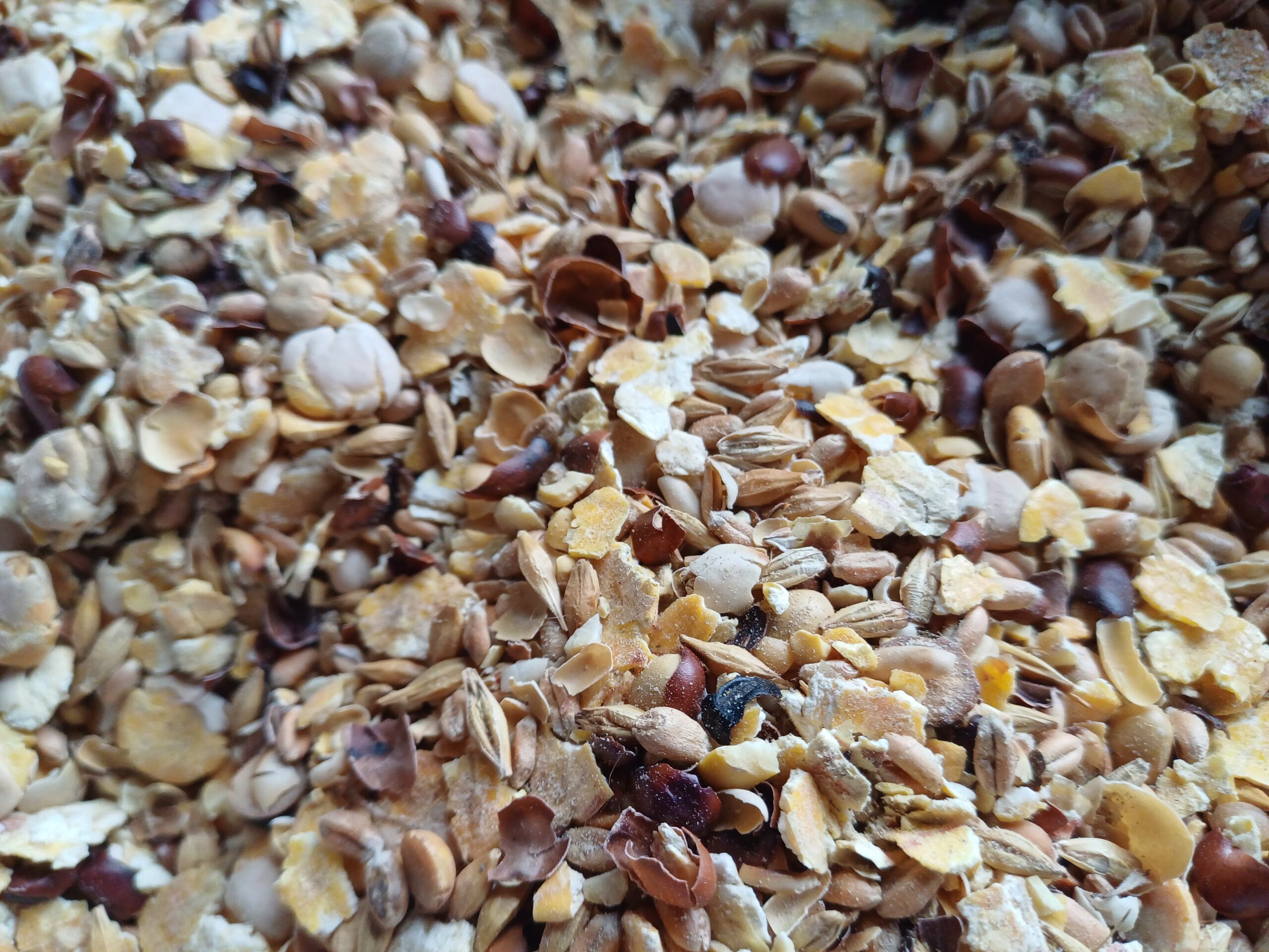 Graines Toasté – Image 2