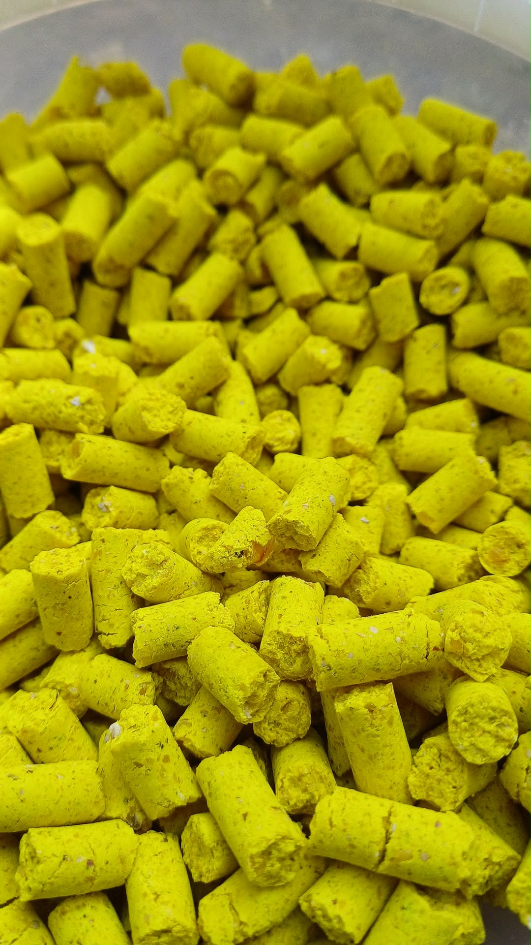 Baby Corn 8mm fluoresceine – Image 3
